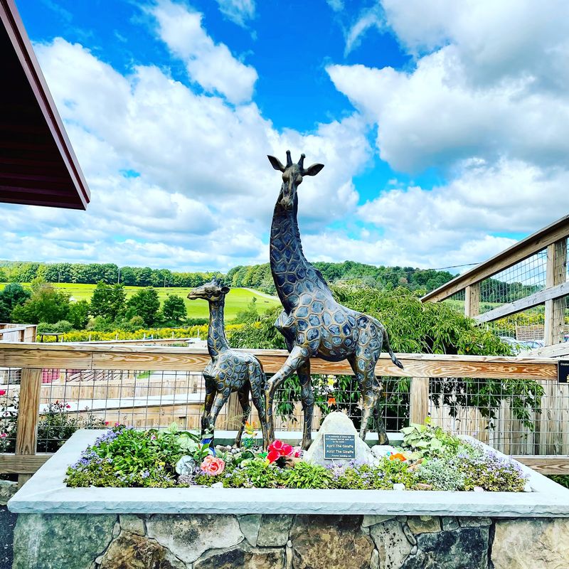 Meet Animal Adventure Park