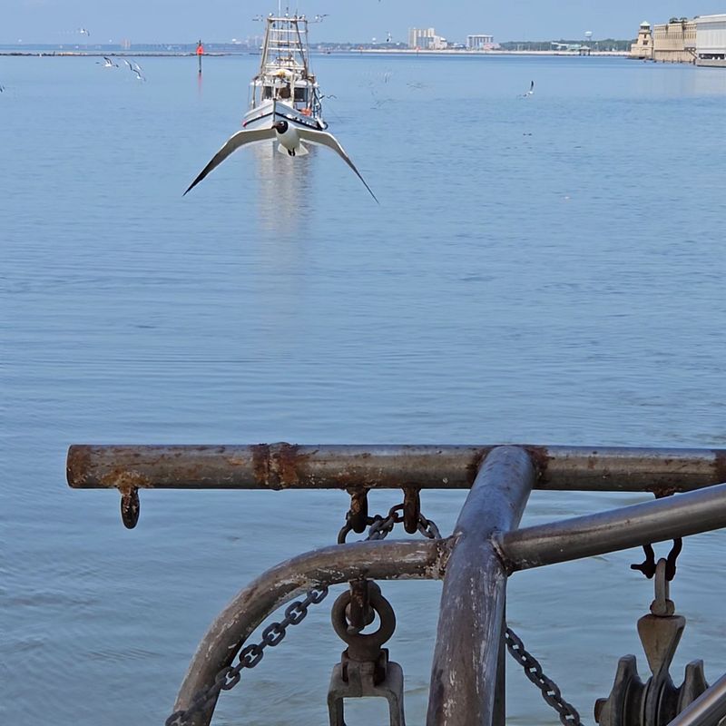 Roots of the Seafood Capital