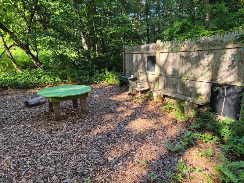 A Short Forest Trail Makes Room For A Quiet Nature Break