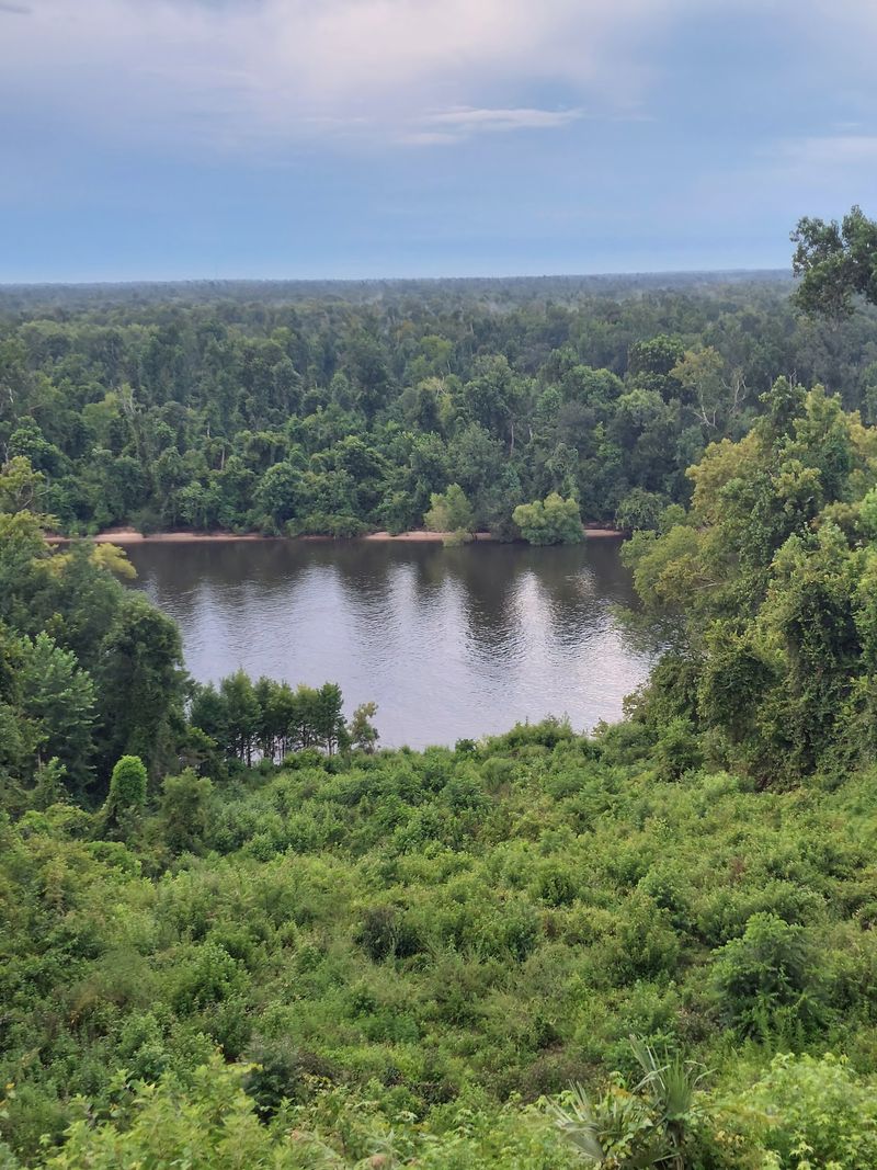 Birds, Paddles, and Quiet River Time