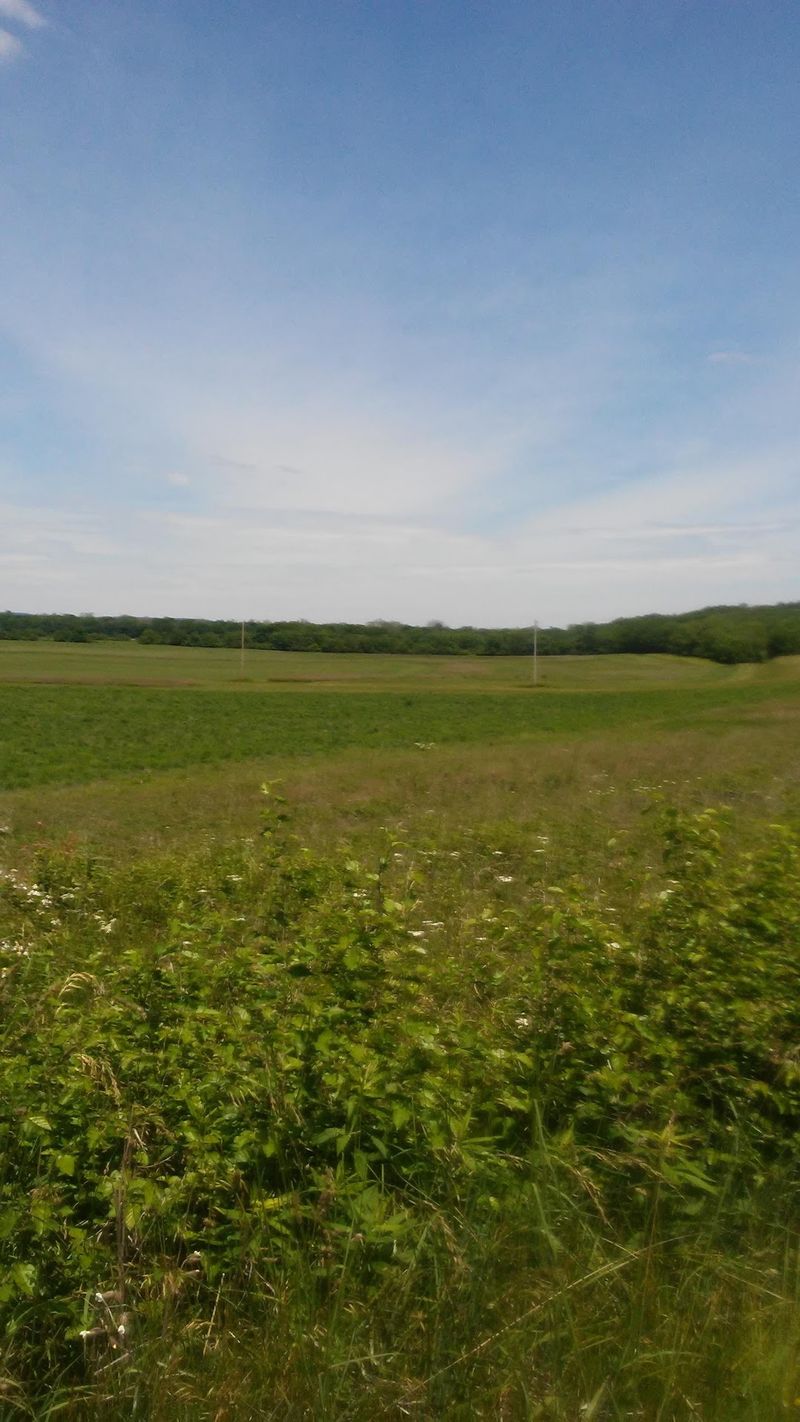 Ancient Earthworks Older Than Any Capital