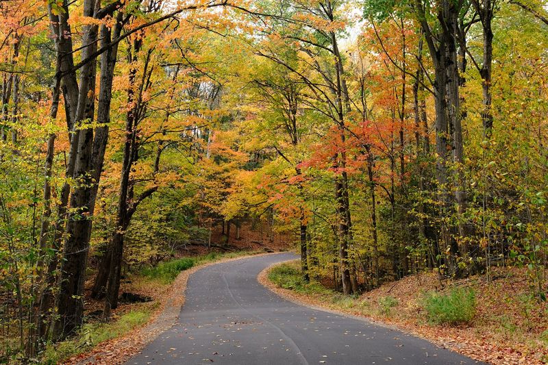 Chestnut Ridge Park Lights Up The Woods