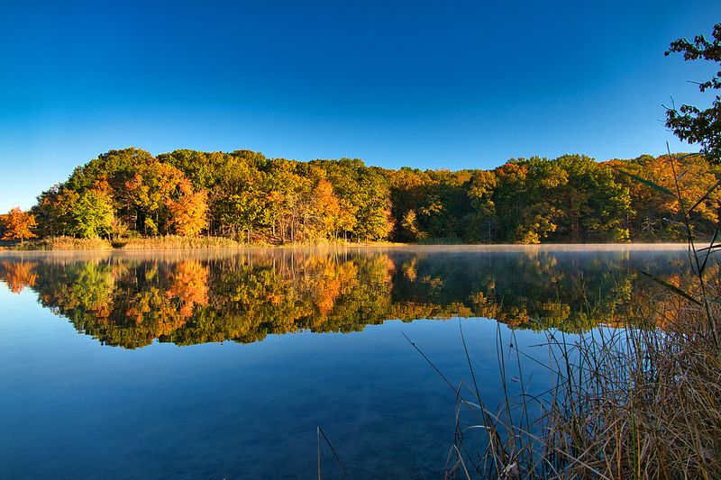 Cheesequake State Park