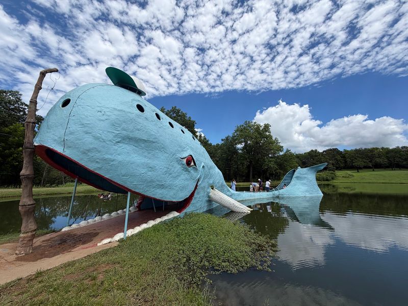A Husband Built A Whale For His Wife