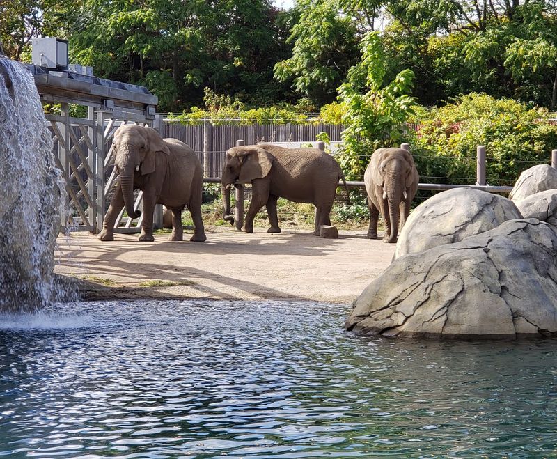 Find The Zoo At 1000 Elmwood Avenue