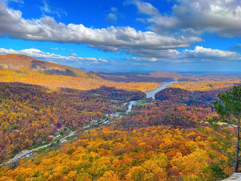 The Leaves Have A Schedule, So You Should Too
