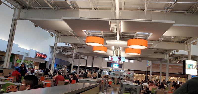 Two Food Courts And One Jungle Dinner