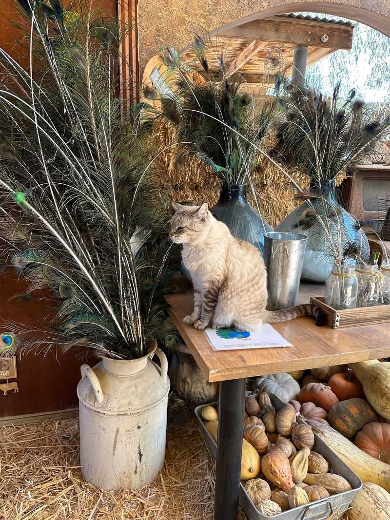A Market Packed With Unusual Finds