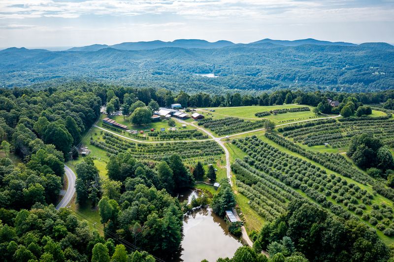 A Family Farm With Deep Roots