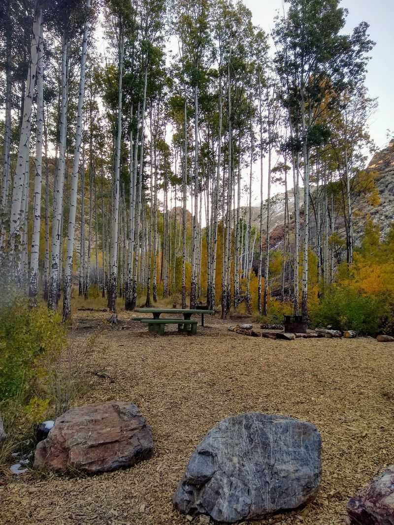 Water Canyon Recreation Area