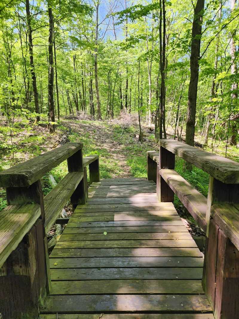 Trails That Crunch Underfoot