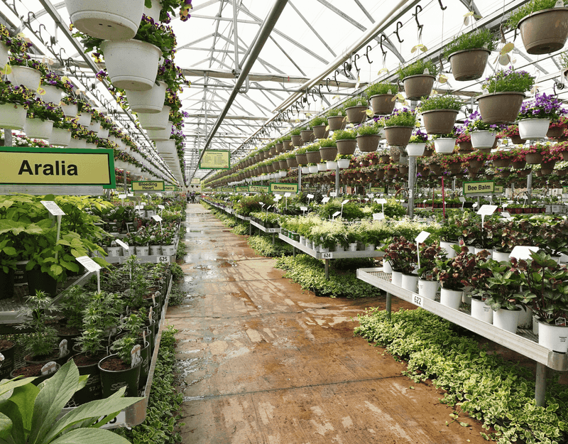 Trees, Shrubs, And Perennials Bring Long-Term Value To Your Yard