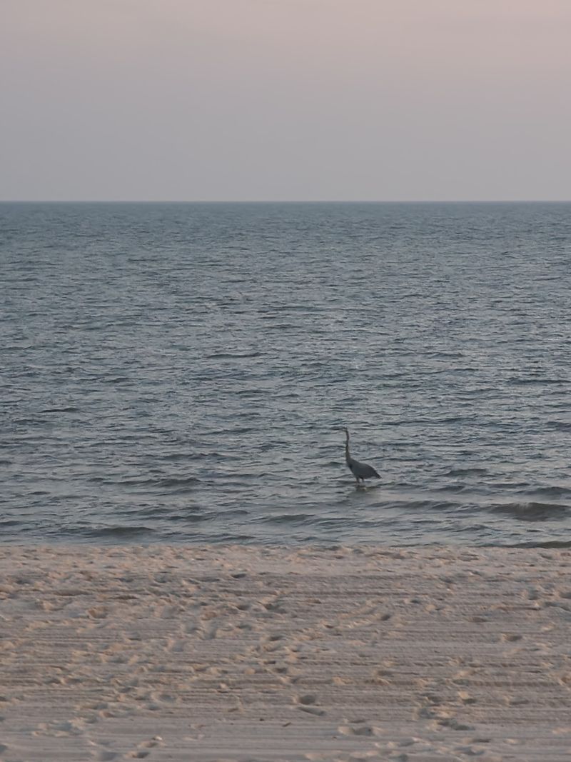 Bay St. Louis Beach