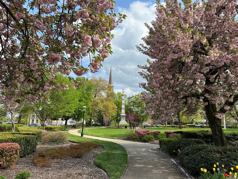 Morristown Green