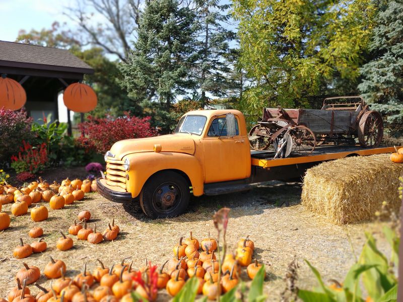 Becker Farms - Gasport