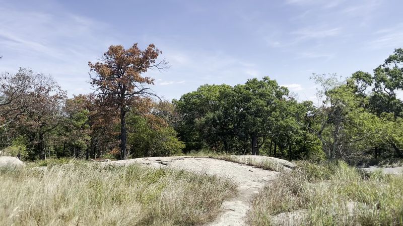 Leave The Trail Better Than The Founders Found It