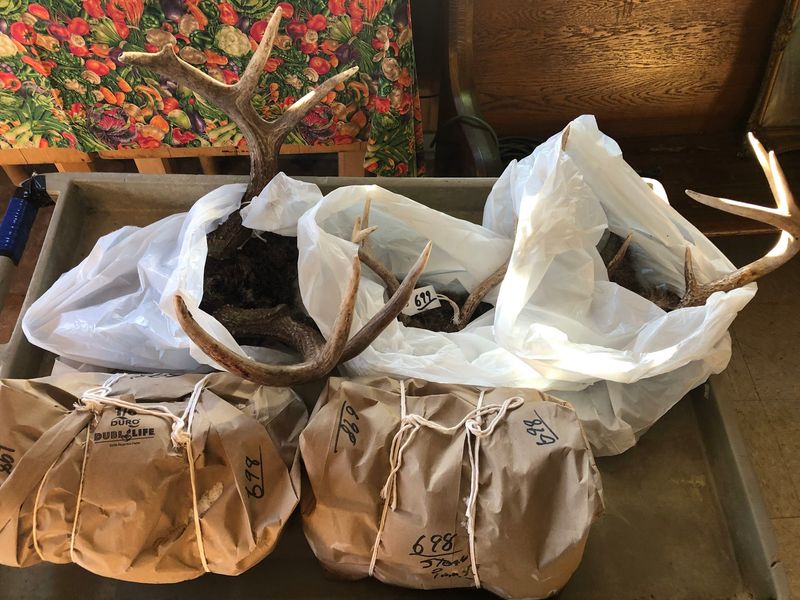 Hunters Get Serious Help With Wild Game Processing