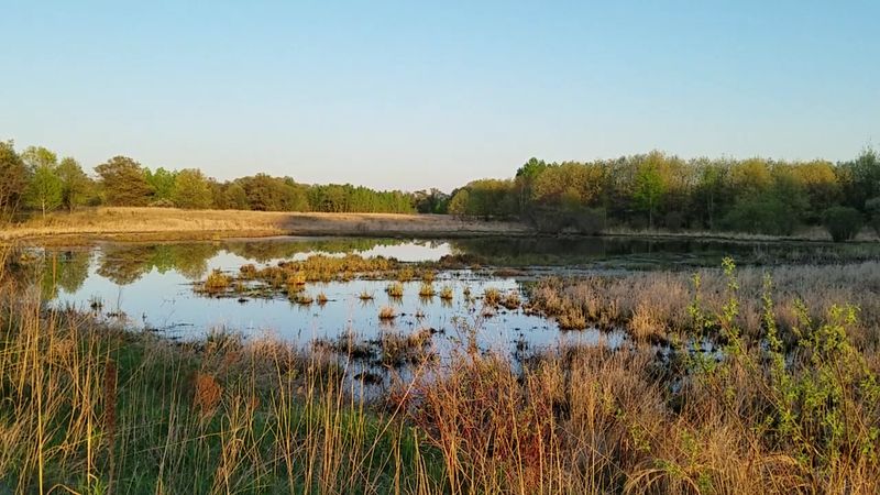 Cruising The Prairie's Edge Wildlife Drive