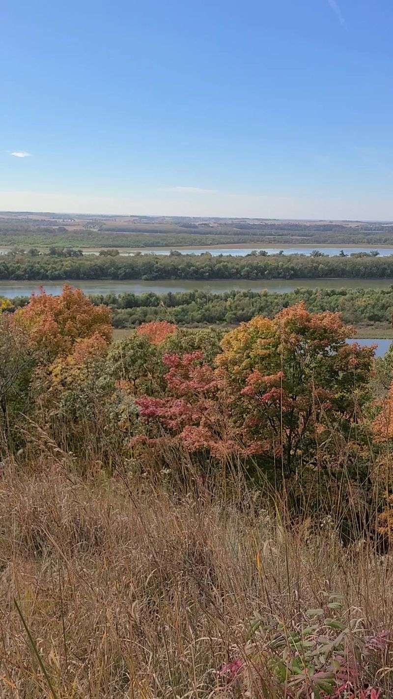 Families Get One Of The Best Fall Day Trips In Illinois