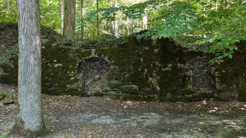 Deeper History Lives Beneath These Trees
