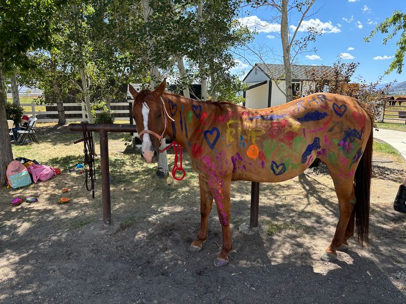 Rescued Hearts Ranch