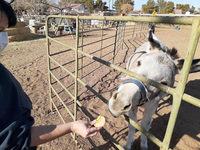 McKee Ranch Foundation