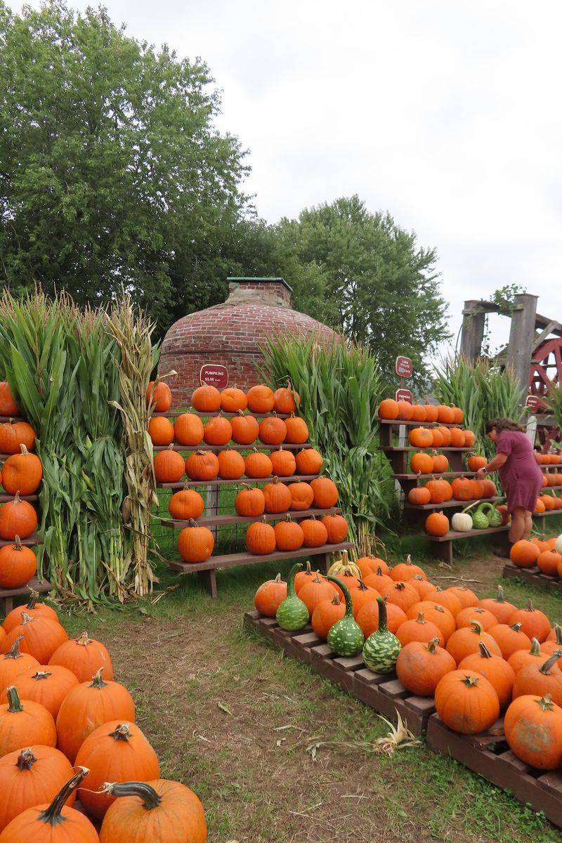 McCray's Country Creamery