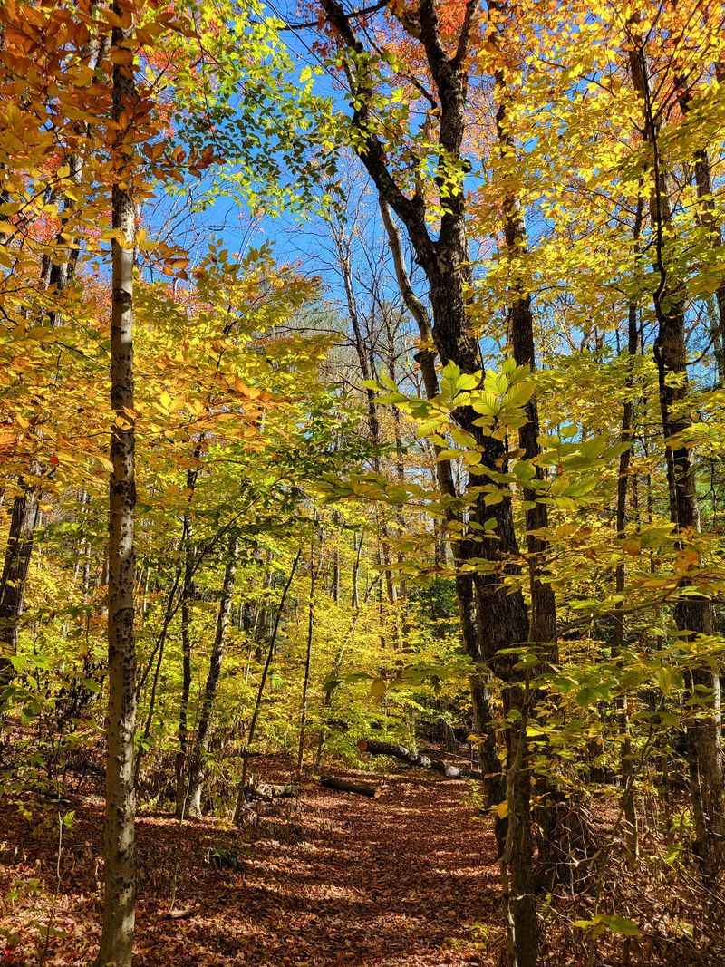 Wahconah Falls State Park