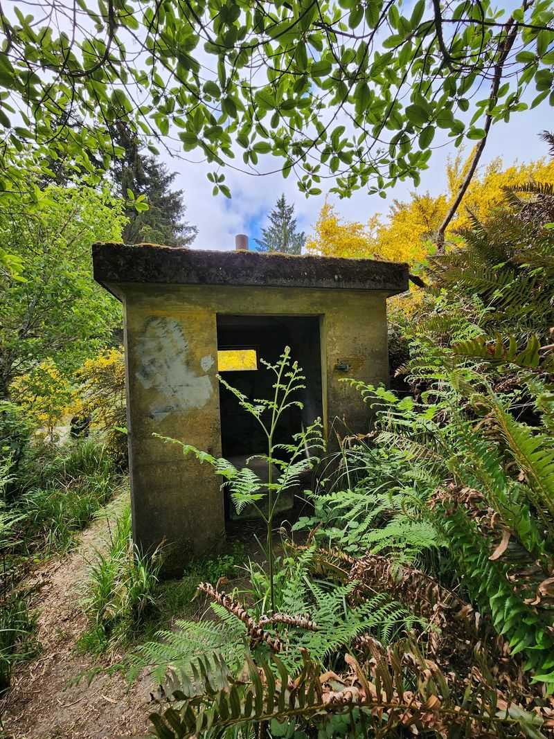 Fort Stevens Park Roads To Battery Russell, Hammond