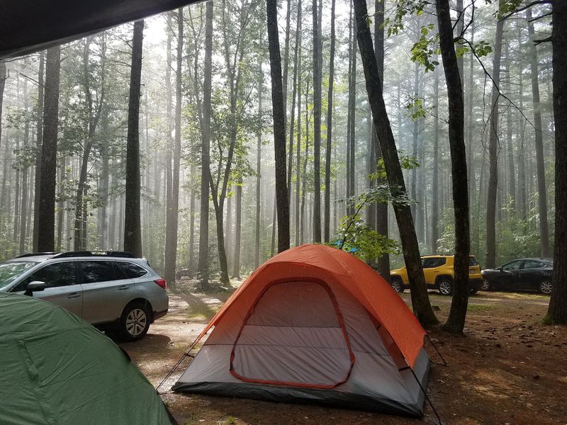 Willard Brook State Forest