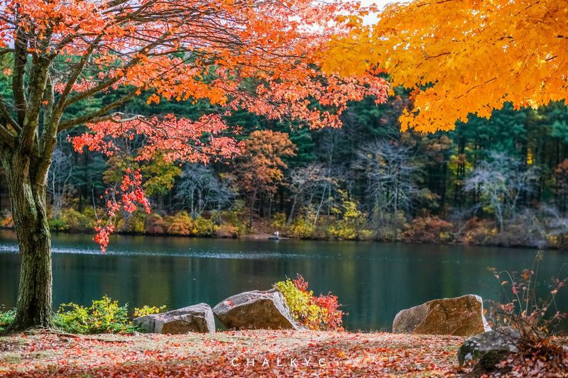 Houghton's Pond Recreation Area