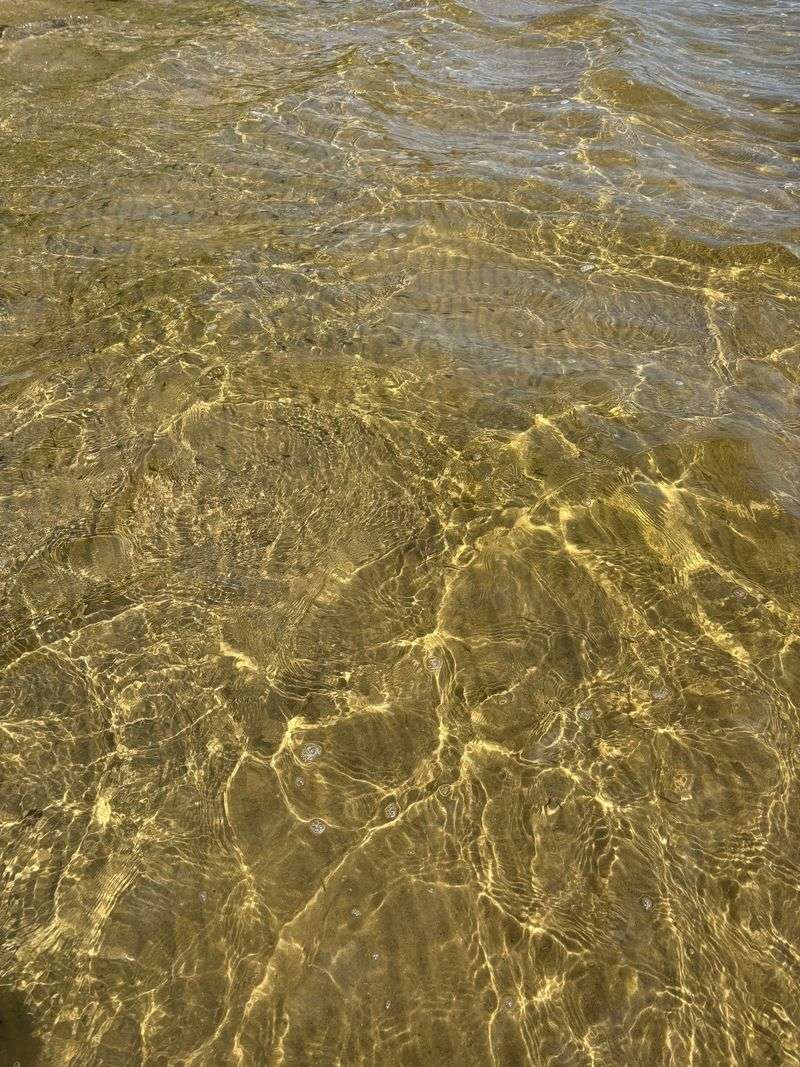 Clear Water Is the Real Star Now