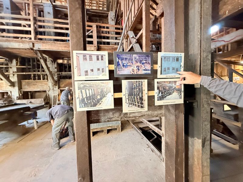 Photos, Specimens, And A Vault In The Old Office