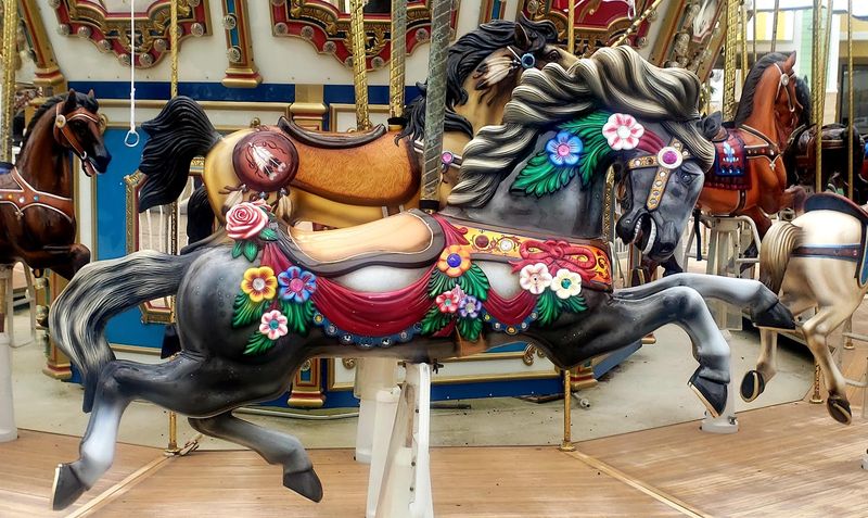 Carousel Rides And Playground Breaks
