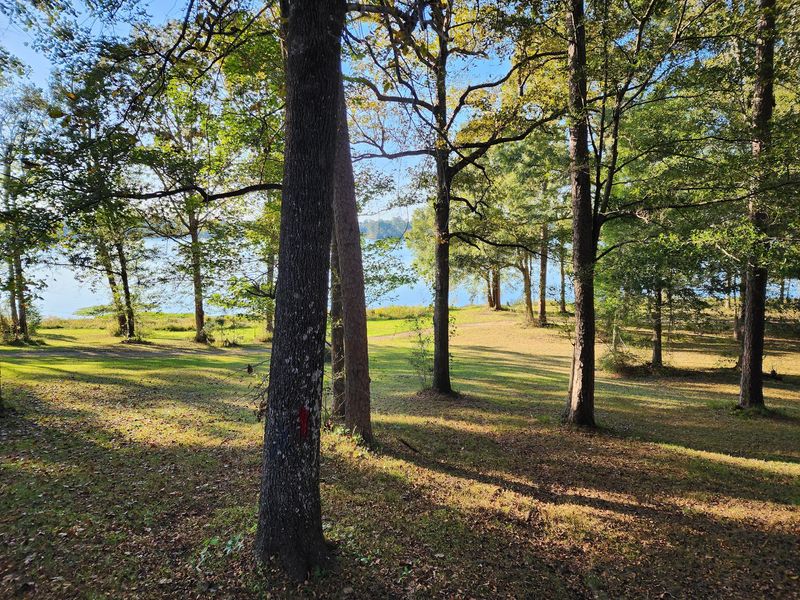 The Long Nature Loop Around The Lake