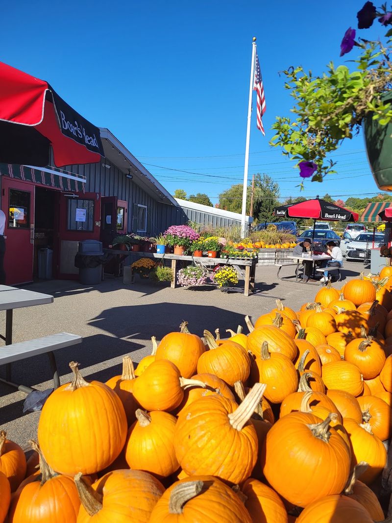 Peaches, Corn, And Pumpkin Patches