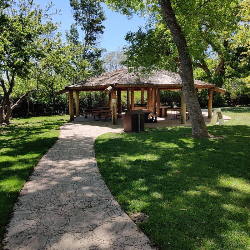 Shady Lawns Built For A Sack Lunch