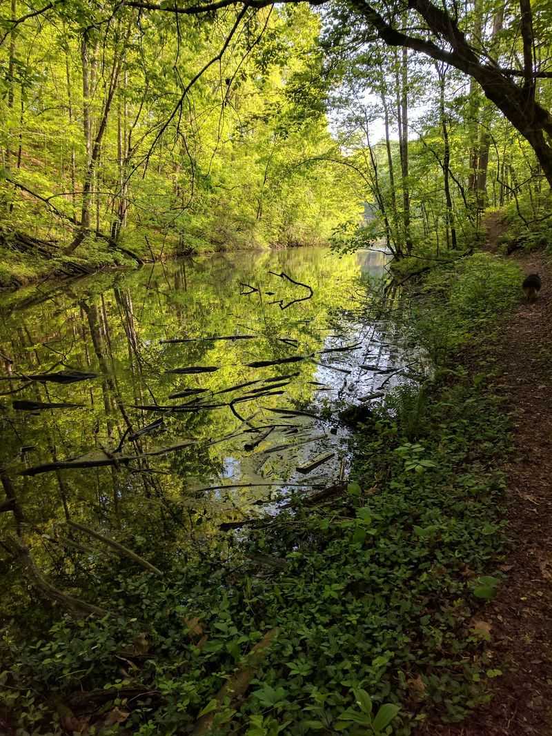 Forts, Trails, And A Brilliant Alphabet