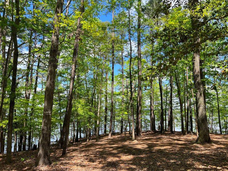 Lace Up For Miles Of Trail Along The Water