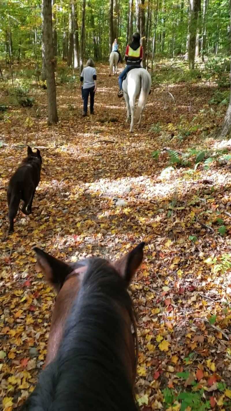 Berkshire HorseWorks
