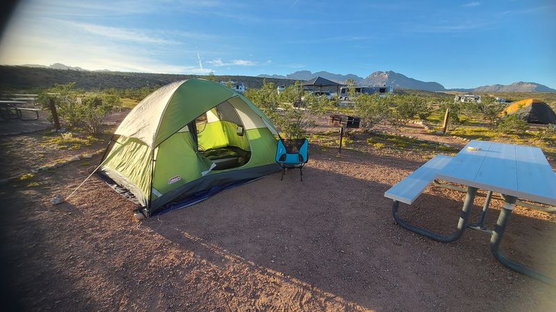 Pick Your Campsite Personality Before You Pack