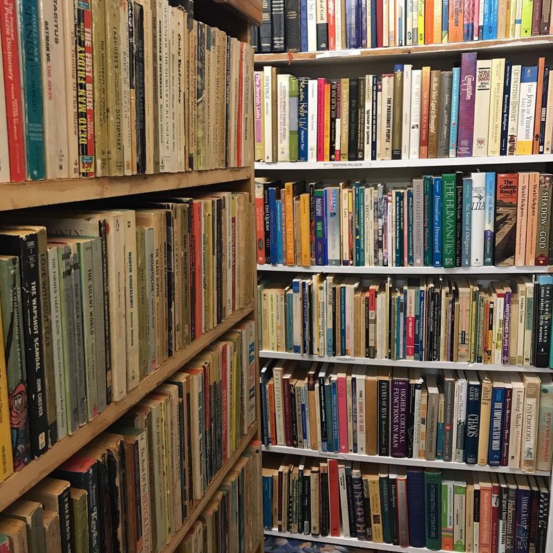 Shelves Stacked with Books