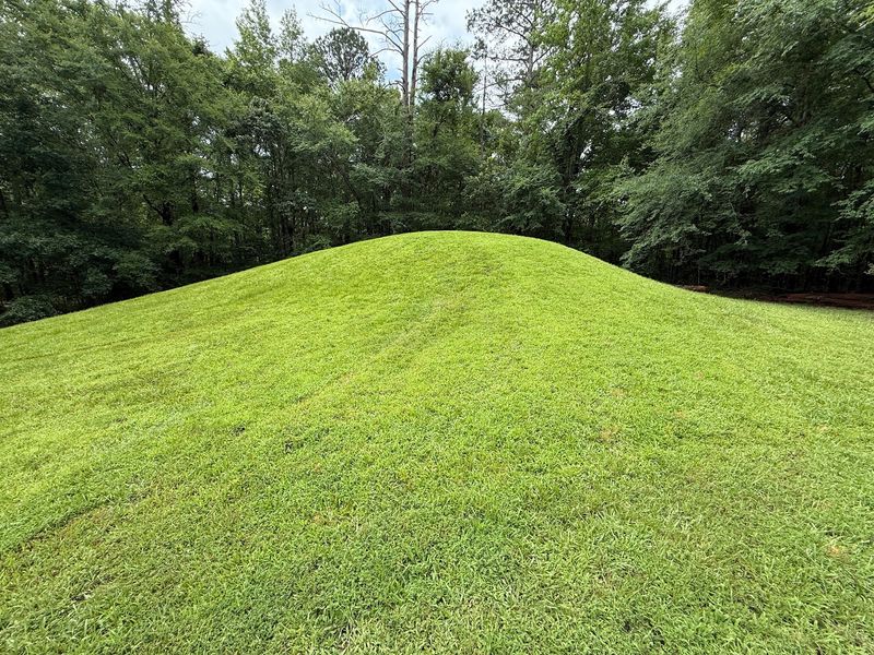 Bynum Mounds, Houston, MS