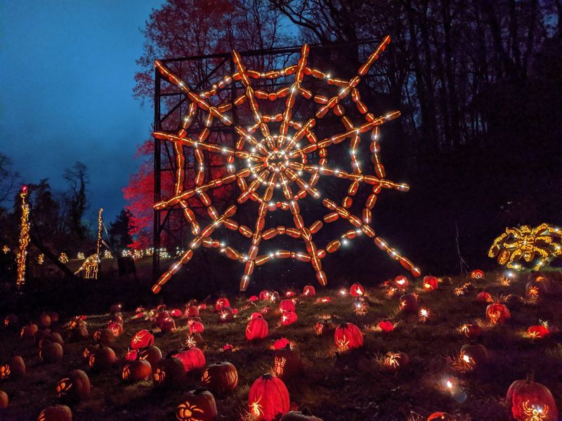 Lights, Music, And A Trail That Feels Alive