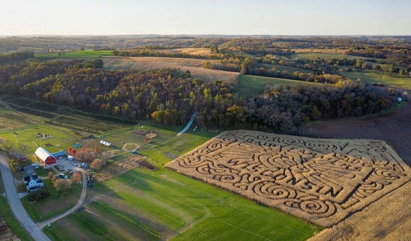 Solve A Mystery In The Corn Maze