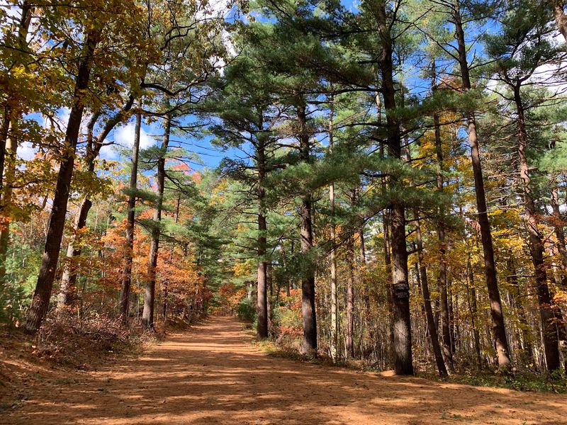 Lynn Woods Reservation, Lynn, MA