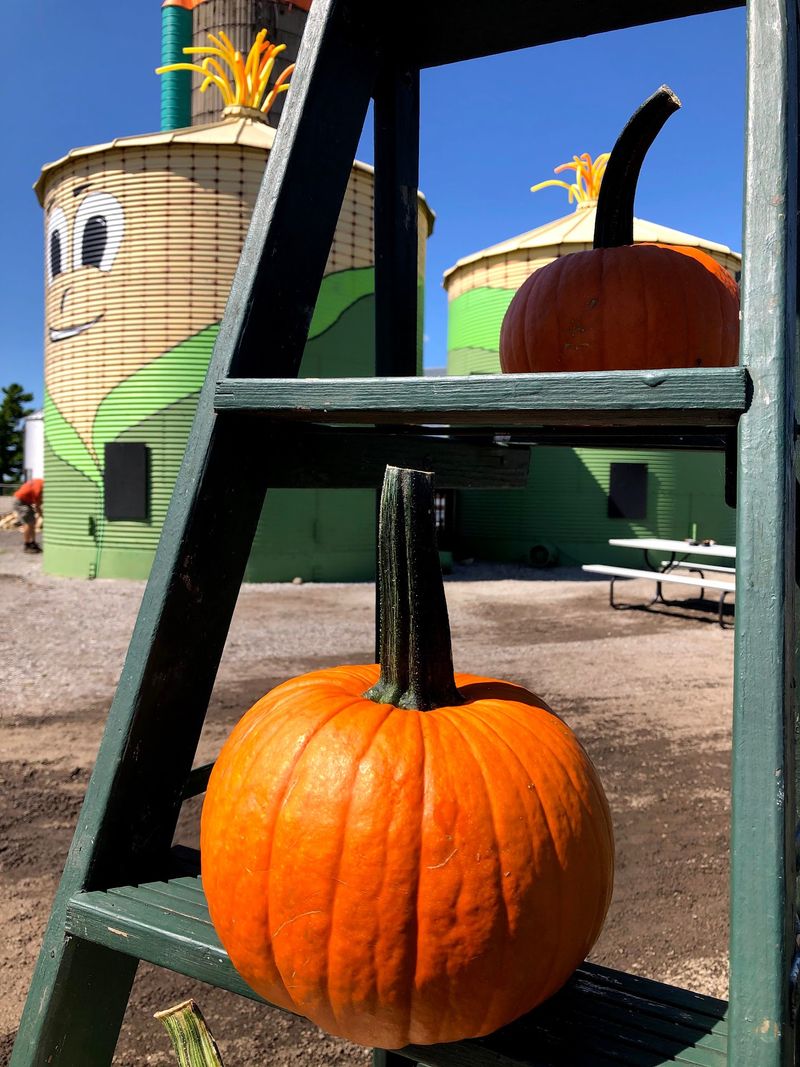 Rader Family Farms, Normal, IL