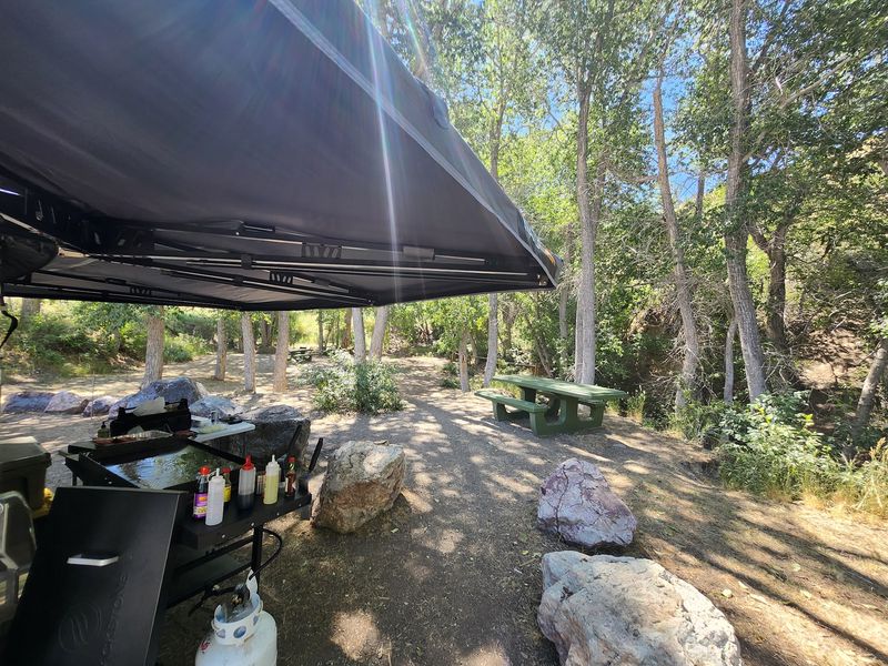 Lunch Tastes Better Under A Canopy Of Gold