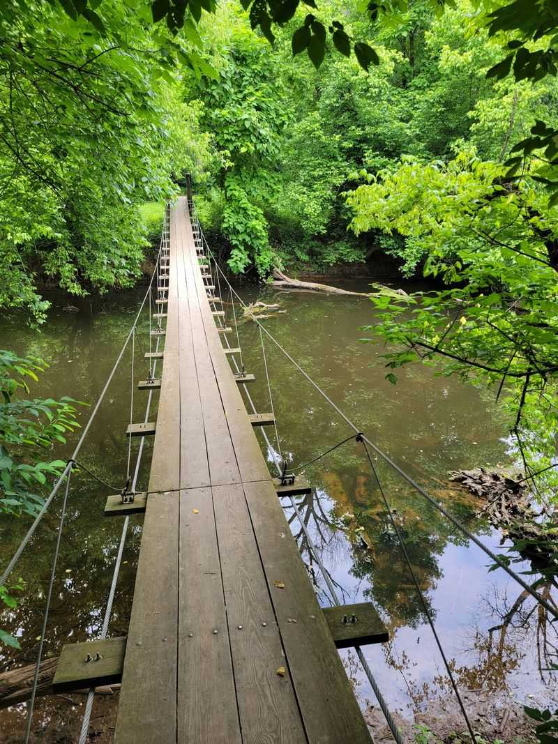 Thank A Famous Director For This Walk And Bridge