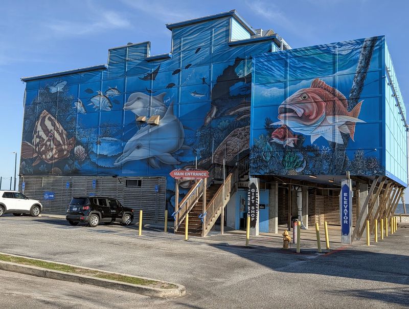 The Reef